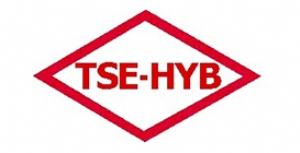 TSE Квалификационный Аттестат Службы